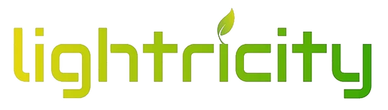 Lightricity logo